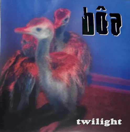 Twilight