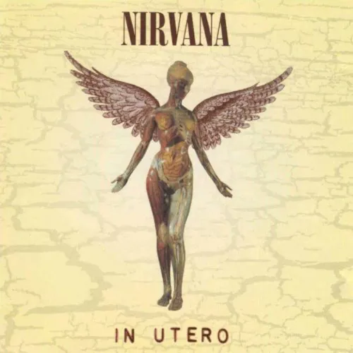 In Utero