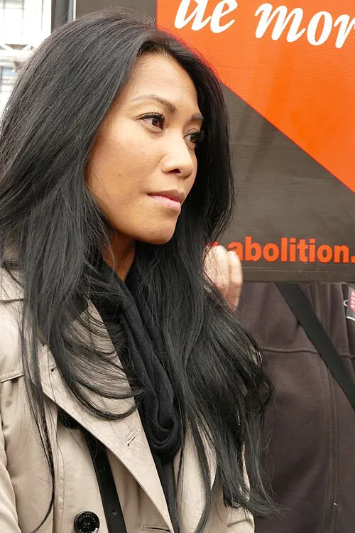 Anggun 在巴黎（2015）