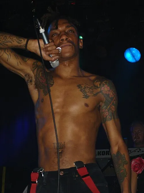 Tricky (2008)