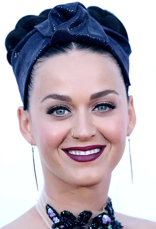 Katy Perry(2014)