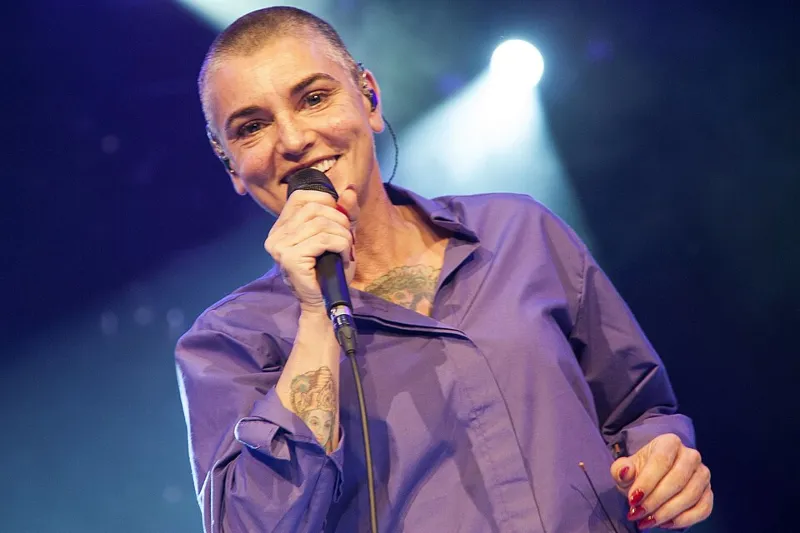 Sinéad O'Connor 在 剑桥民俗音乐节50周年纪念 （2014）